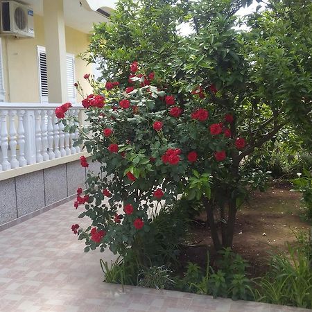 Apartments Branko Ζαντάρ Εξωτερικό φωτογραφία