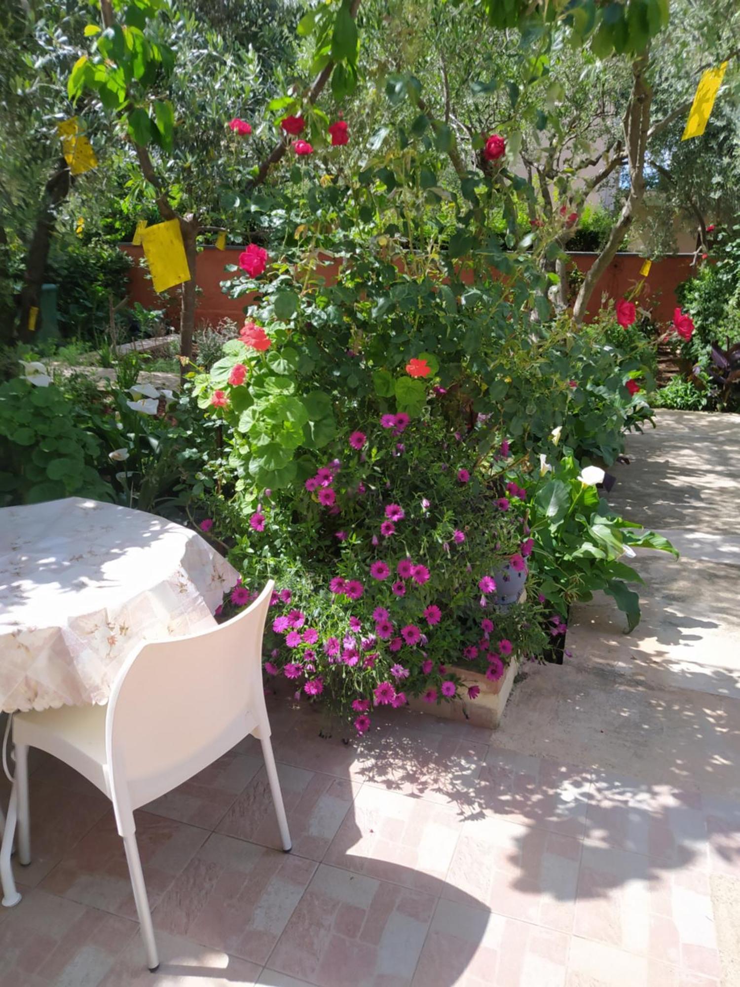 Apartments Branko Ζαντάρ Εξωτερικό φωτογραφία