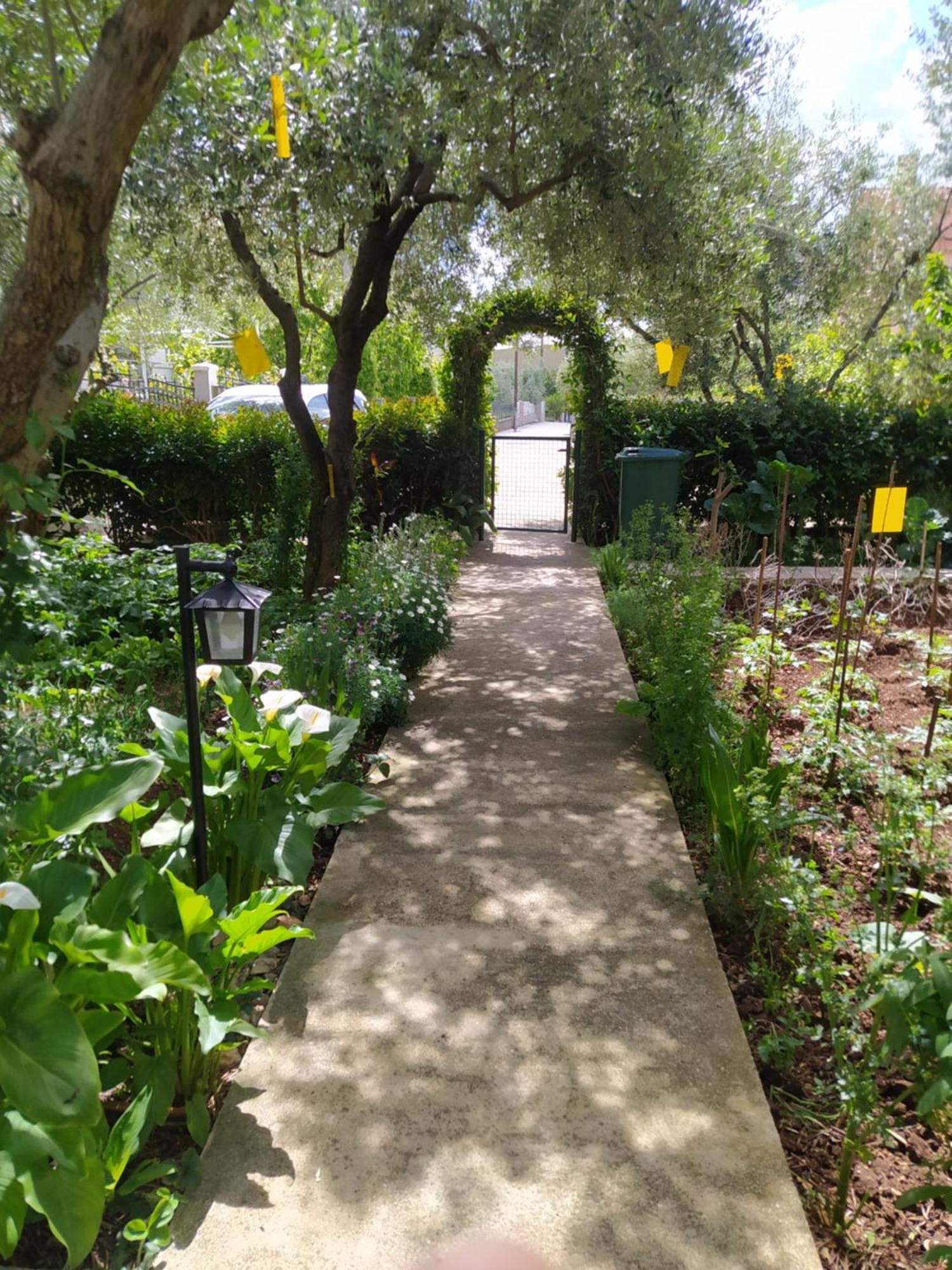 Apartments Branko Ζαντάρ Εξωτερικό φωτογραφία
