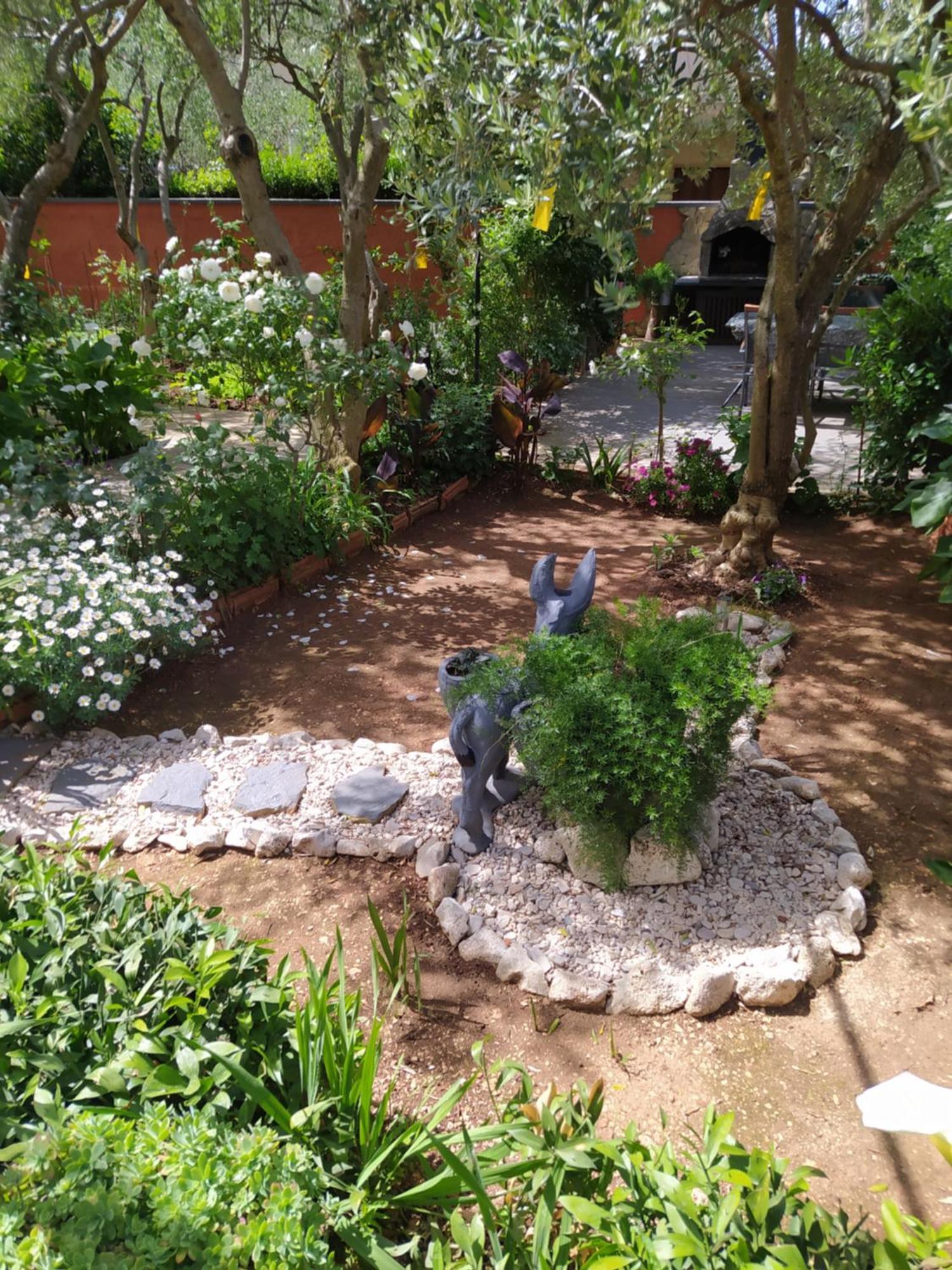Apartments Branko Ζαντάρ Εξωτερικό φωτογραφία