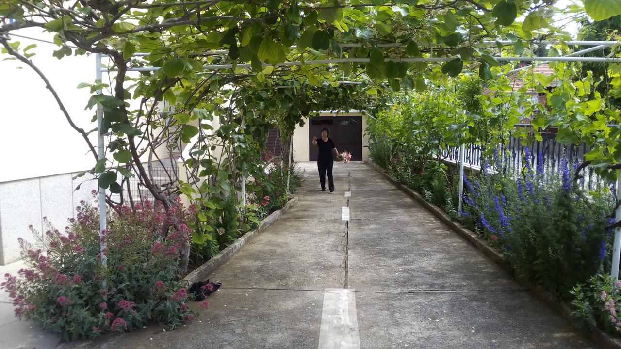 Apartments Branko Ζαντάρ Εξωτερικό φωτογραφία