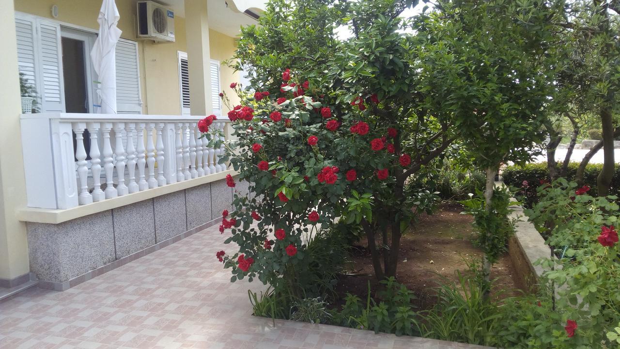 Apartments Branko Ζαντάρ Εξωτερικό φωτογραφία