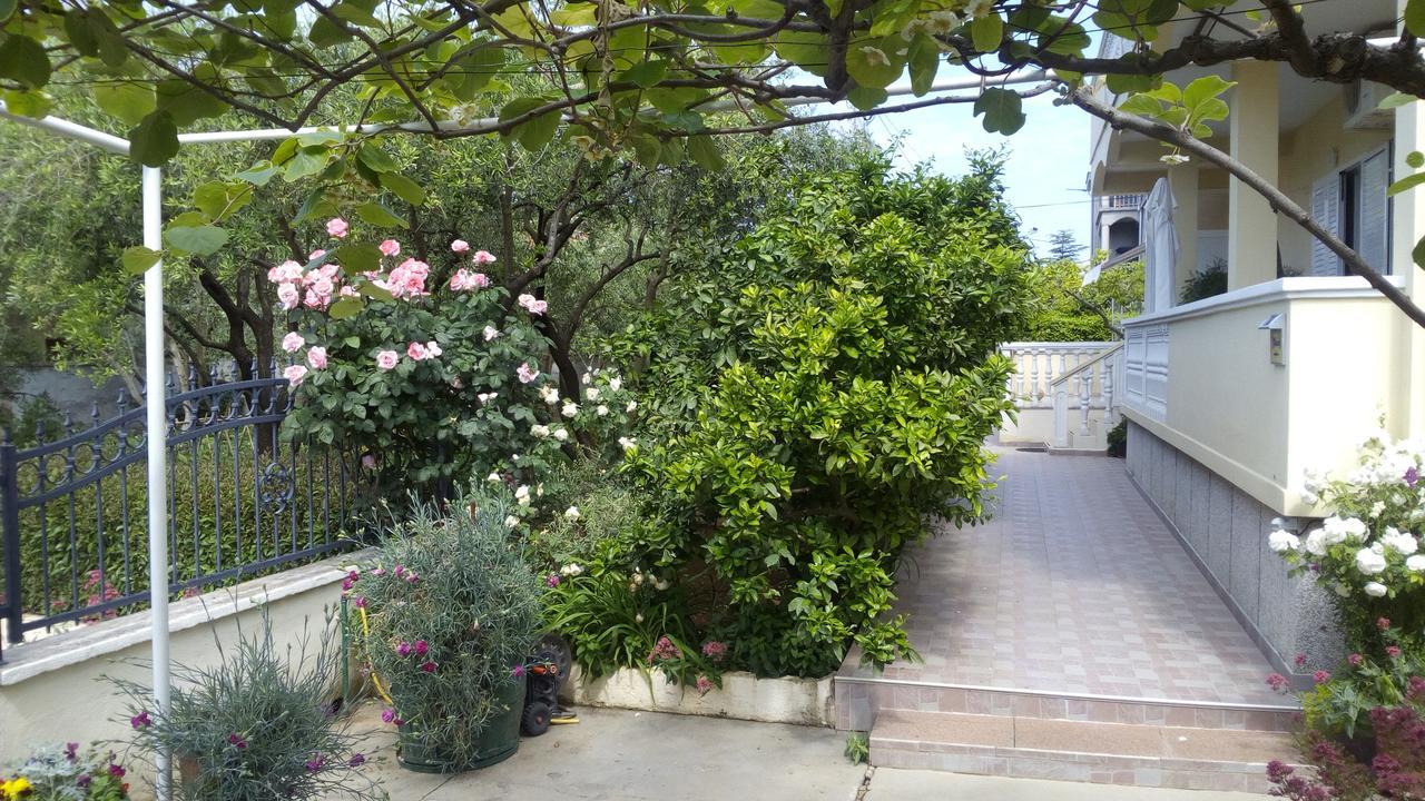 Apartments Branko Ζαντάρ Εξωτερικό φωτογραφία